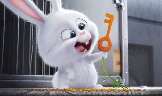 Pets - Vita da animali: un momento del film d'animazione