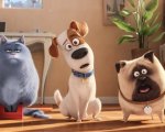 Pets - Vita da animali supera quota 500 milioni ai box office internazionali