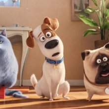 Pets - Vita da animali: una simpatica immagine del film animato