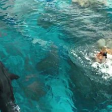 Paradise Beach - Dentro l'incubo: lo squalo minaccia Blake Lively in una scena del film