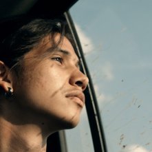 Spira mirabilis: un primo piano del documentario