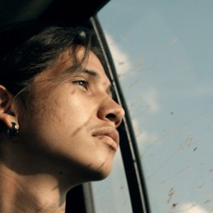 Spira mirabilis: un primo piano del documentario