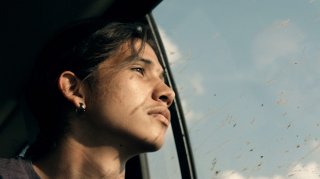 Spira mirabilis: un primo piano del documentario