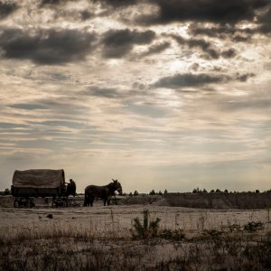 Brimstone: una scena del film