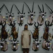 Safari: un'immagine del documentario di Ulrich Seidl