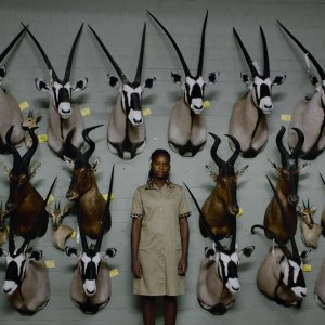 Safari: un'immagine del documentario di Ulrich Seidl