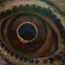 Voyage of Time: Life's Journey - un'immagine tratta dal documentario