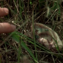 Velluto blu: il momento inquietante del ritrovamento dell'orecchio