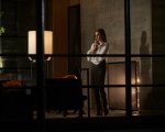Le vie del cinema 2016 i film di Venezia e Locarno a Milano