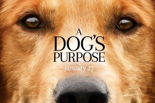 A Dog's Purpose - Trailer