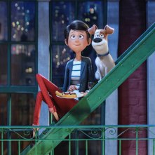 Pets: Max e Katie in una scena del film