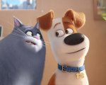 Dai Minions a Pets e Sing, il tributo a Chris Meledandri a Venezia 2016