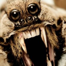 American Horror Story Ver58 Xlg