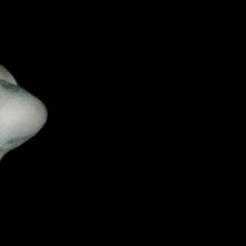 American Horror Story Ver61 Xlg