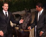 Venezia, Chris Pratt e Denzel Washington sul red carpet con un cavallo