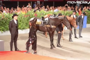 Chris Pratt e Denzel Washington a Venezia 2016