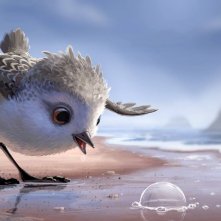 Piper: un'immagine del nuovo corto della Pixar
