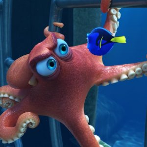 Alla ricerca di Dory: una scena del film di animazione