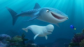 Alla ricerca di Dory: Bailey e il suo amico squalo Destiny