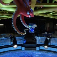 Alla ricerca di Dory: un'immagine del film di animazione