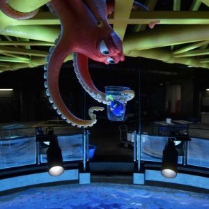 Alla ricerca di Dory: un'immagine del film di animazione