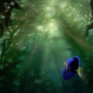 Alla ricerca di Dory: un momento del film di animazione