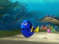 Alla ricerca di Dory, tra emozione e grandi personaggi