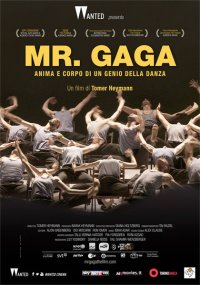 Locandina di Mr. Gaga