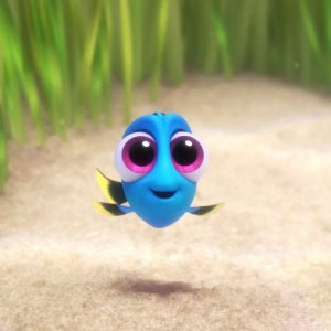 Alla ricerca di Dory: Baby Dory in una scena del film animato