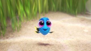 Alla ricerca di Dory: Baby Dory in una scena del film animato