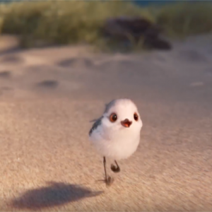 Piper: un momento del nuovo corto animato della Pixar