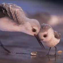 Piper: un momento del corto targato Pixar