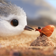 Piper: una bella immagine del corto Pixar