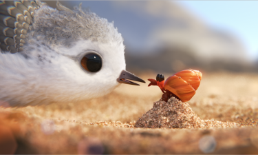 Piper: una bella immagine del corto Pixar