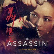 Locandina di The Assassin 