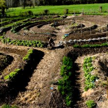 Domani: un'immagine del documentario