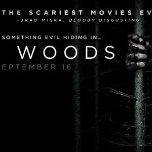 Il mistero del bosco: un'immagine promozionale del film