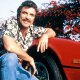 Magnum P.I. - la ABC al lavoro sulla serie sequel
