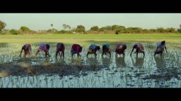 Domani - Clip 'L'agroecologia'