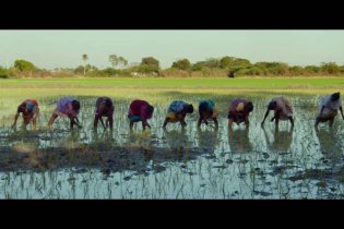 Domani - Clip 'L'agroecologia'