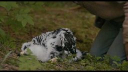 Abel - Il Figlio del Vento - Clip 'Abel incontra Lukas'