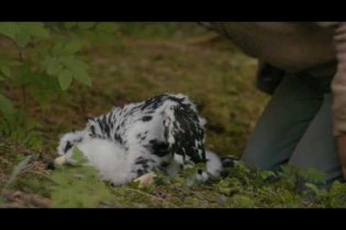 Abel - Il Figlio del Vento - Clip 'Abel incontra Lukas'