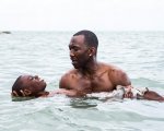 Roma 2016: Moonlight di Barry Jenkins sarà il film di apertura