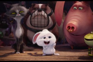 Pets - Vita da animali - Clip 'Sono scappati tutti?'