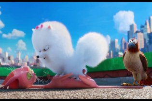 Pets - Vita da animali - Clip 'Dov'è Max?'