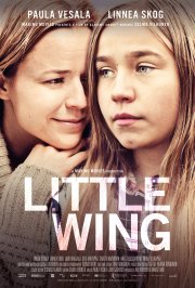 Locandina di Little Wing