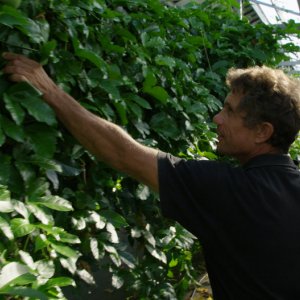 Domani: un momento del documentario francese