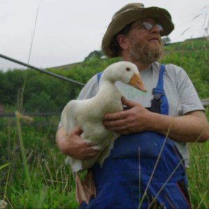 Domani: un momento del documentario