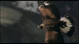 Abel - Il Figlio del Vento - Clip 'Un panorama mozzafiato'