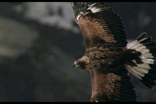 Abel - Il Figlio del Vento - Clip 'Un panorama mozzafiato'